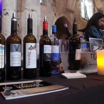 Descubra Vinhos do ‘Tejo a Copo’ em Santarém