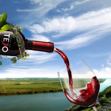 Região do Tejo aumenta em 71,8% a certificação dos seus vinhos