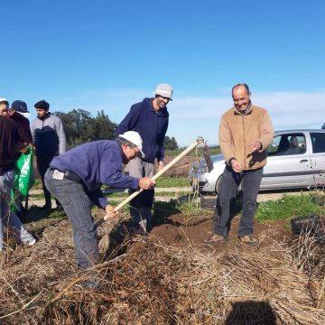 Agricultor dá batata doce a instituições