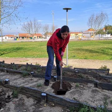 Presidente de Junta dá exemplo: Varre e planta flores