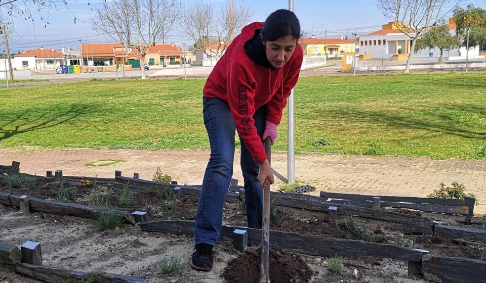 Presidente de Junta dá exemplo: Varre e planta flores