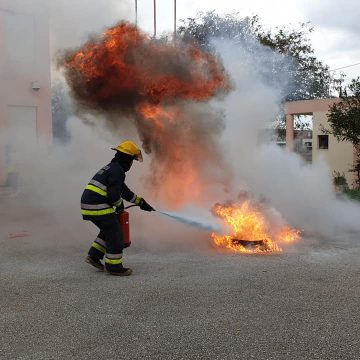 BVA dão formação a professores