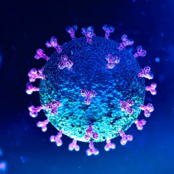 Concelho de Almeirim apresenta 3,88% da população com anticorpos