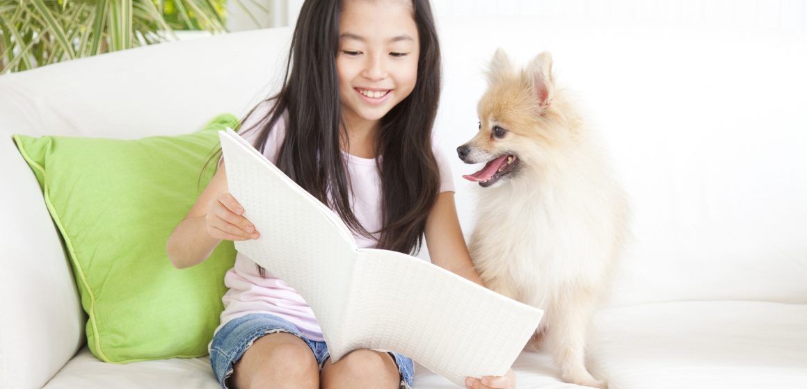 Cães e livros na Biblioteca Municipal