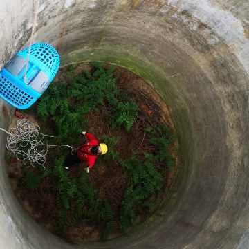 Bombeiros resgatam gata