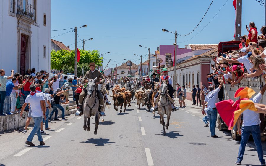 Ancestral Entrada de Toiros em Quinta-feira de Ascensão realiza-se amanhã na Chamusca