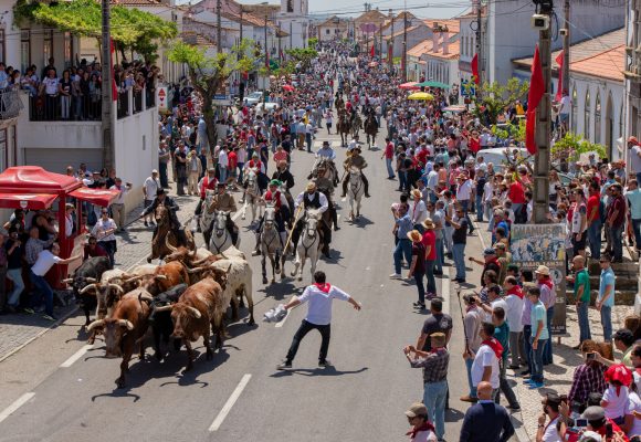 É hoje: Toiros nas ruas da Chamusca