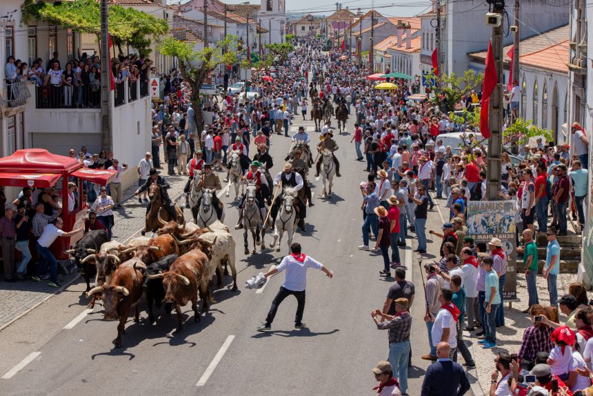 É hoje: Toiros nas ruas da Chamusca