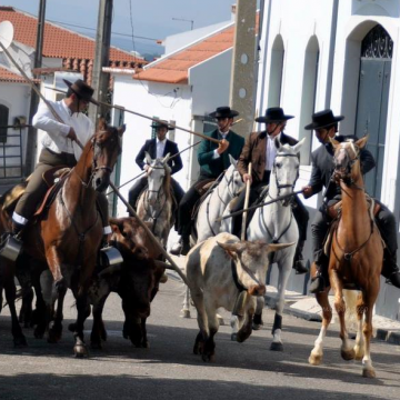 Festival de Folclore regressa nos dias 16, 17 e 18 de junho a Vale de Cavalos