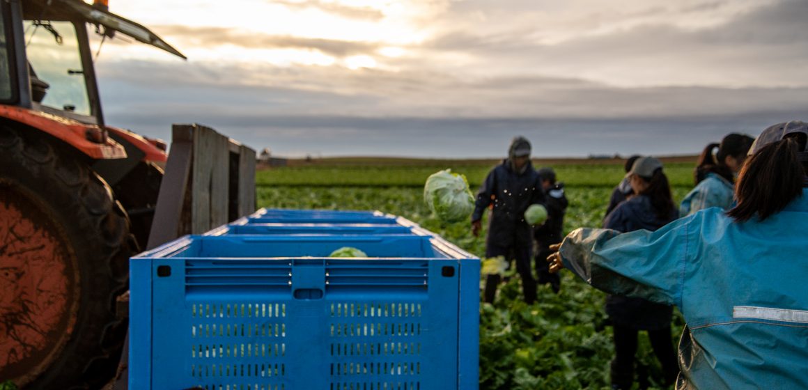 Agricultura a mudar