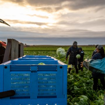 Agricultura a mudar