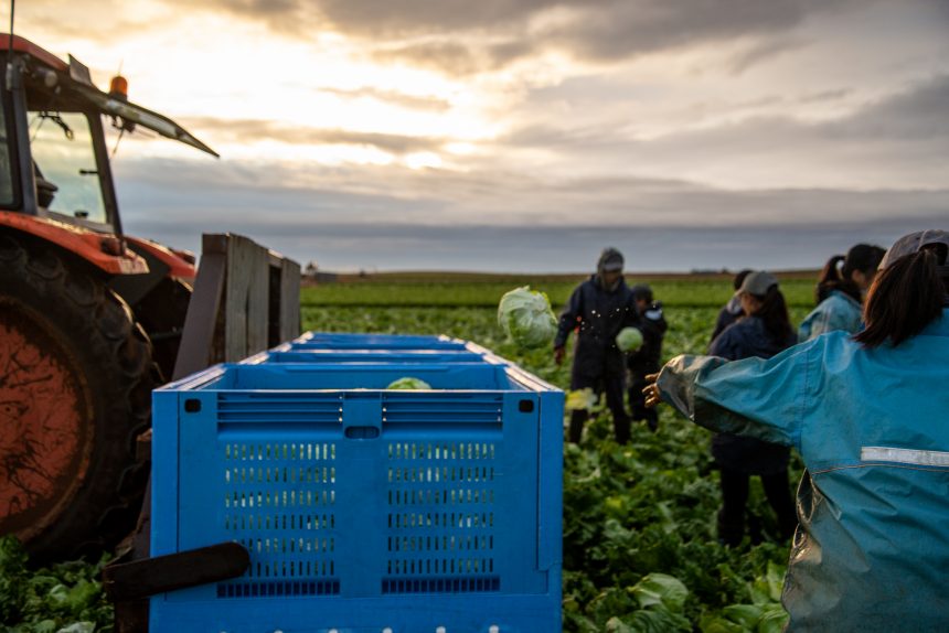 Agricultura a mudar