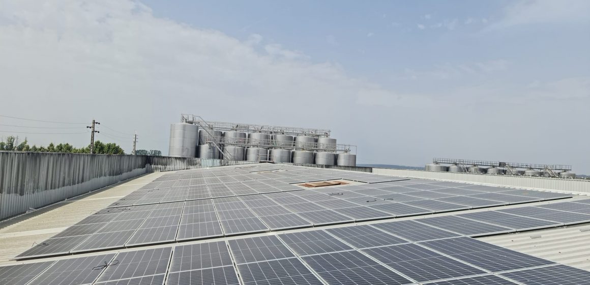 Adega de Almeirim investe 300 mil euros em Painéis Solares