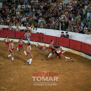 Forcado almeirinense protagoniza pega monumental na Praça de Touros de Tomar (c/vídeo)