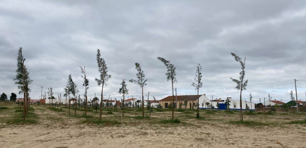 Câmara avança para construção do Parque Urbano de Fazendas de Almeirim