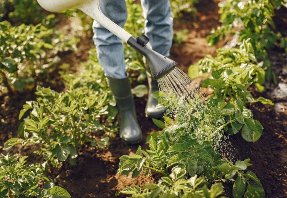 CNEMA recebe primeiro Fórum Agricultura Sustentável