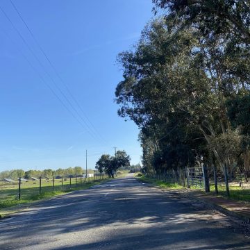 Obras na Circular Urbana fecham rua de acesso ao Frade de Baixo durante meses