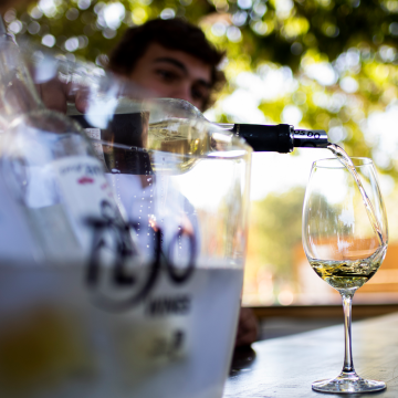 Adega de Almeirim, Casal Branco e Falua colocam os seus vinhos à prova em Lisboa
