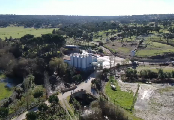 GNR realiza grande operação para acabar com descargas poluentes no Monte da Vinha