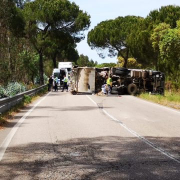 Despiste de camião recolha de resíduos provoca três feridos, dois deles graves e corta EN 114