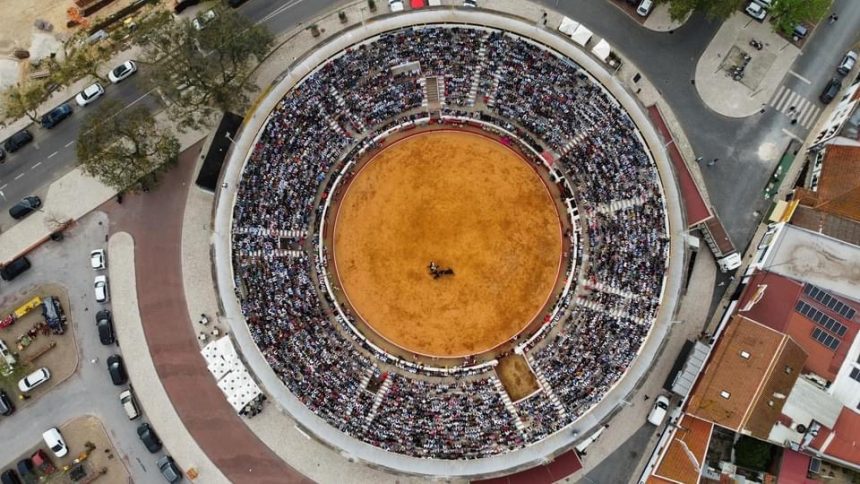 Arena d’Almeirim volta a esgotar: Angariados mais de 33 mil euros para obra social