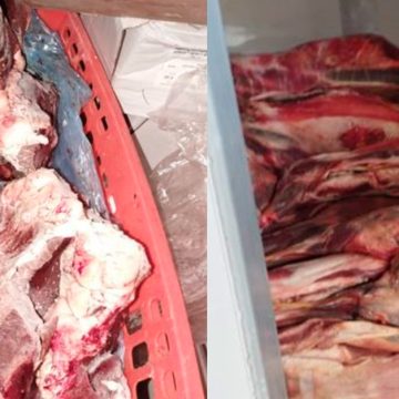 ASAE apreende mais de quatro toneladas de carne imprópria para consumo