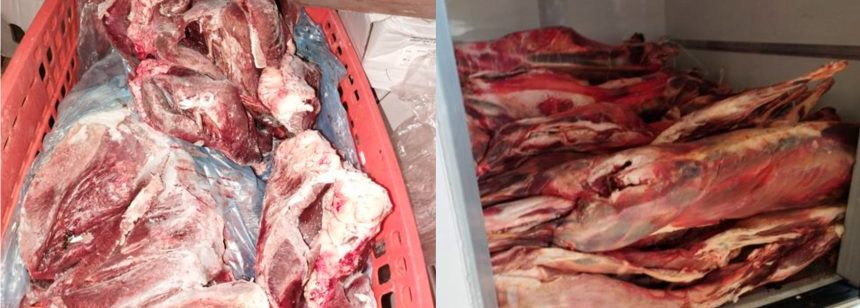 ASAE apreende mais de quatro toneladas de carne imprópria para consumo