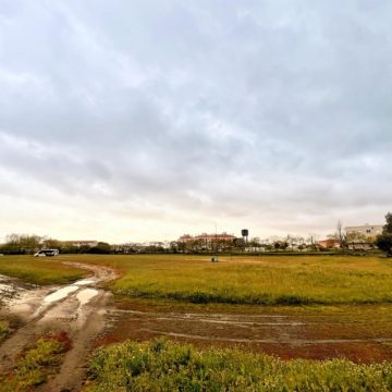 Campo de futebol da Escola Agrária de Santarém vai ser requalificado