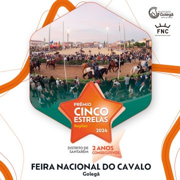 Feira do Cavalo conquista prémios Cinco Estrelas Regiões