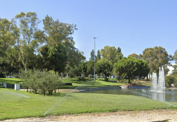 Dia Internacional do Enfermeiro com piquenique no Jardim da Zona Norte