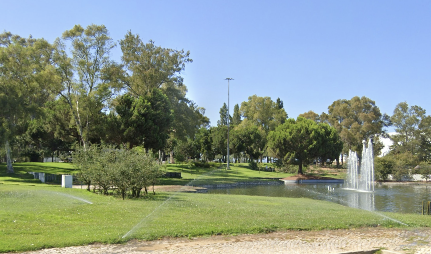 Dia Internacional do Enfermeiro com piquenique no Jardim da Zona Norte